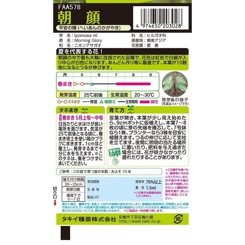 花種 NL200 朝顔 平安の輝 小袋 [FAA578]【花の種】【タキイのタネ