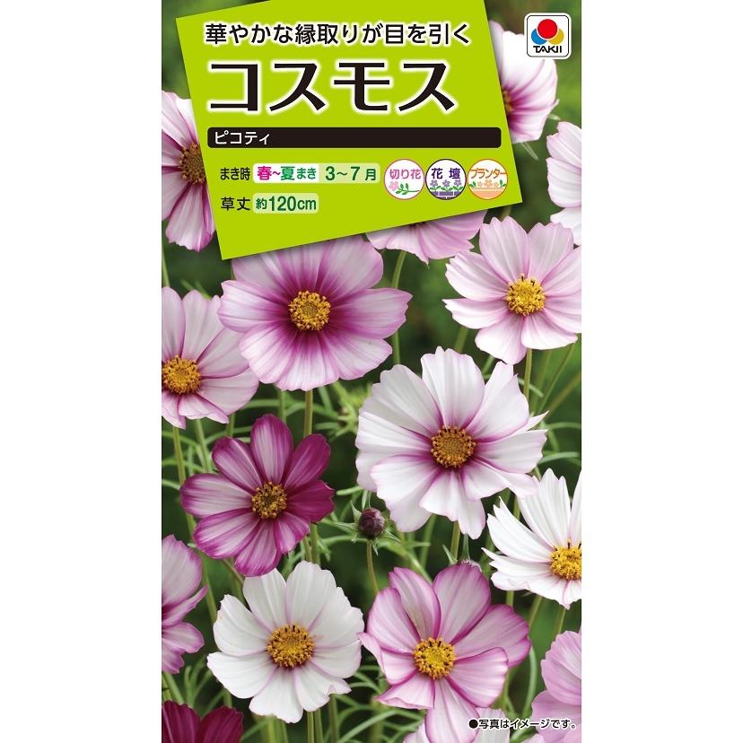 花種 NL200 コスモス ピコティ 小袋 [FCS131]【花の種】【タキイのタネ