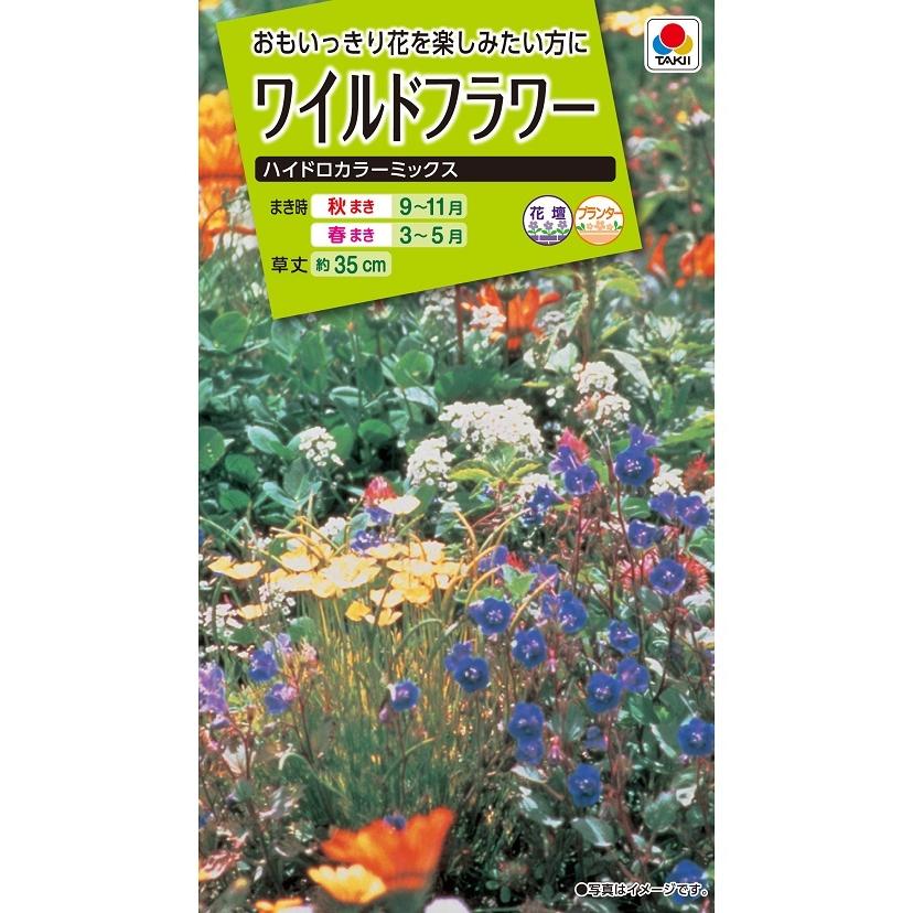 花種 NL200 ワイルドフラワー ハイドロカラーミックス 小袋 [FZZ956