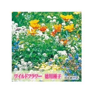 景観用ワイルドフラワー ハイドロカラーミックス 1dl 花の種 景観緑化用種子 ガーデニング 2181 吉谷農芸yahoo 店 通販 Yahoo ショッピング