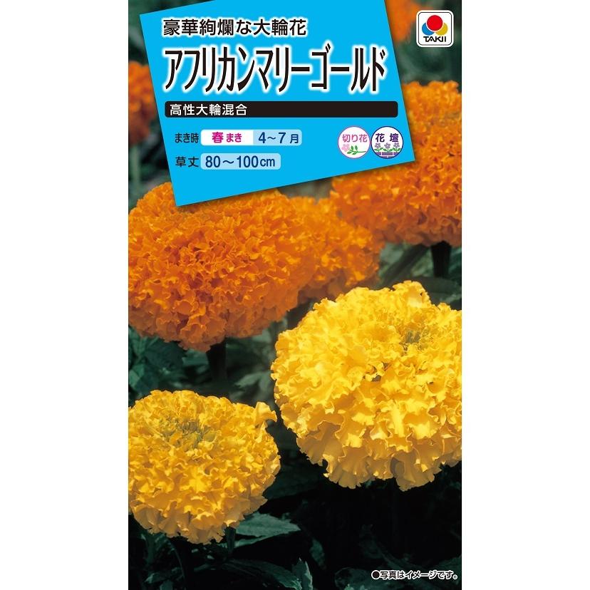 花種 NL150 アフリカンマリーゴールド 高性大輪混合 小袋 [FMN110]【花
