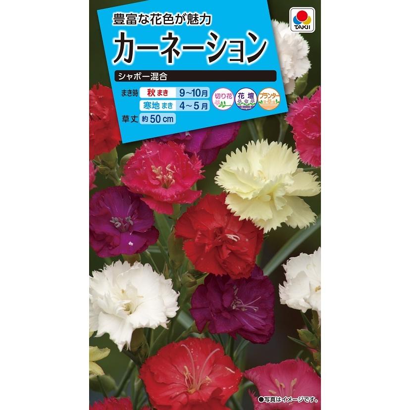 花種 NL150 カーネーション シャボー混合 小袋 [FCN129]【花の種