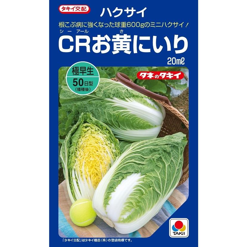 ハクサイ CRお黄にいり 20ml 【タキイ種苗】【黄芯白菜の種】【野菜