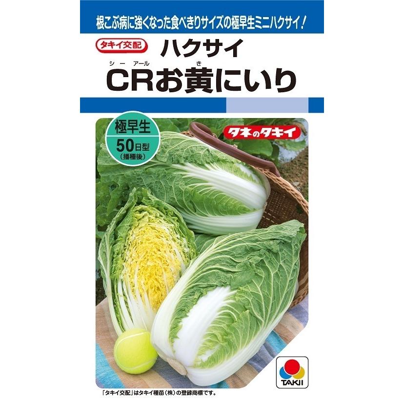 ハクサイ CRお黄にいり 5000粒 【タキイ種苗】【黄芯白菜の種】【野菜種子】