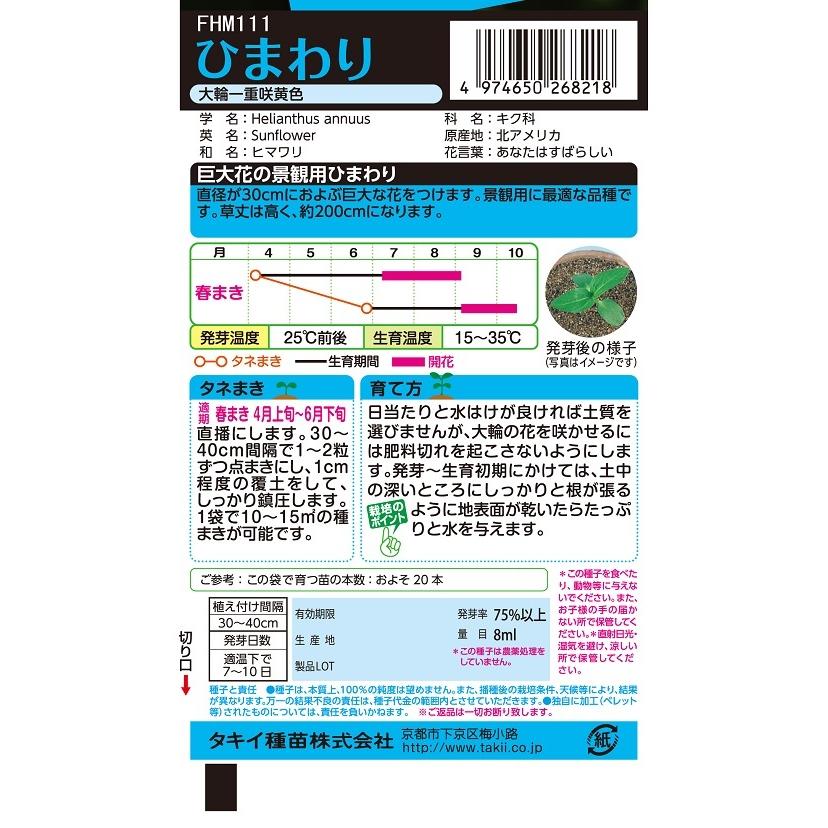 花種 NL150 ひまわり 大輪一重咲黄色 小袋 [FHM111]【花の種】【タキイ