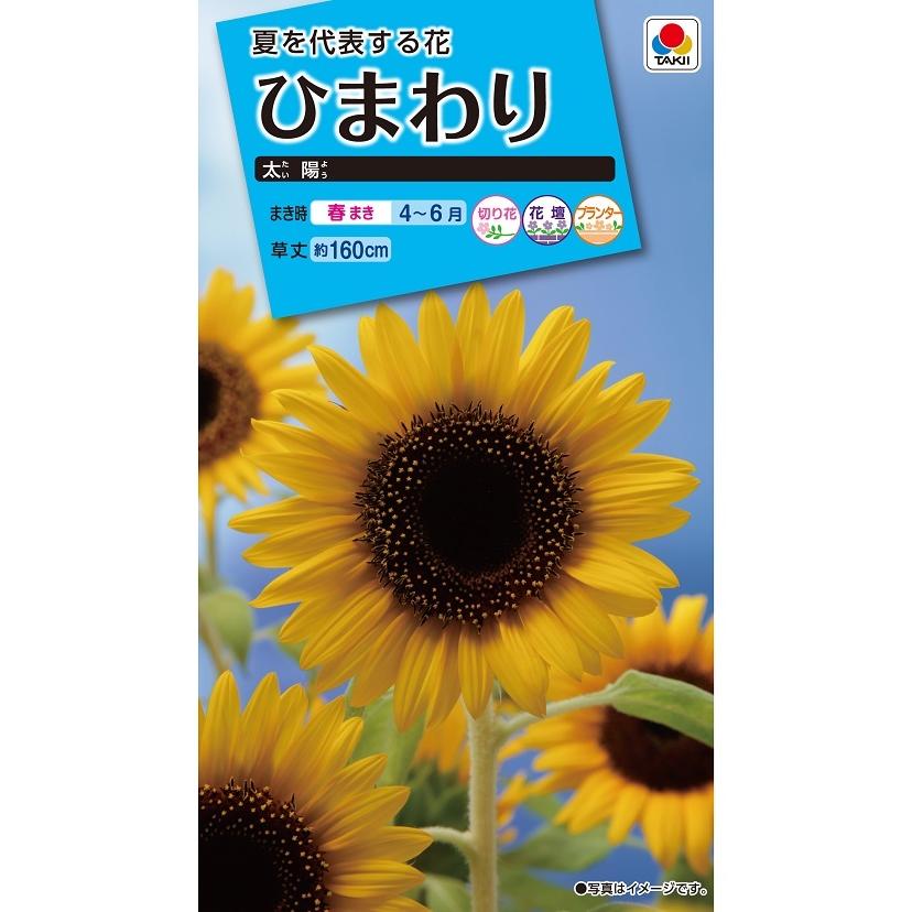 花種 NL150 ひまわり 太陽 小袋 [FHM116]【花の種】【タキイのタネ