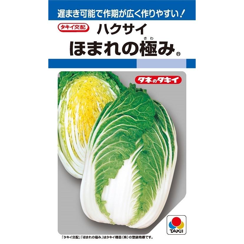 ハクサイ　ほまれの極み　ペレット5000粒　【タキイ種苗】【黄芯白菜の種】【野菜種子】