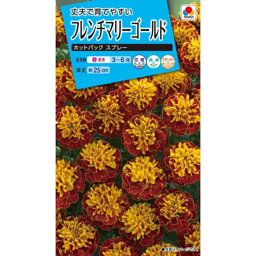 花種 NL150 フレンチマリーゴールド ホットパックスプレー 小袋