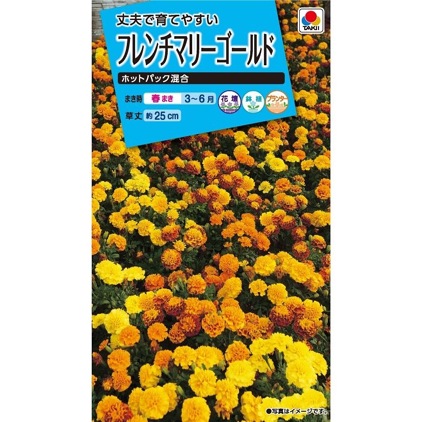 花種 NL150 フレンチマリーゴールド ホットパック混合 小袋 [FKJ269