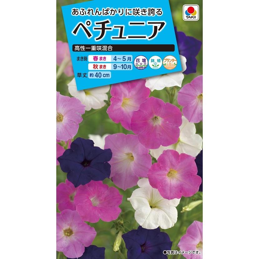 花種 NL150 ペチュニア 高性一重咲混合 小袋 [FPT110]【花の種