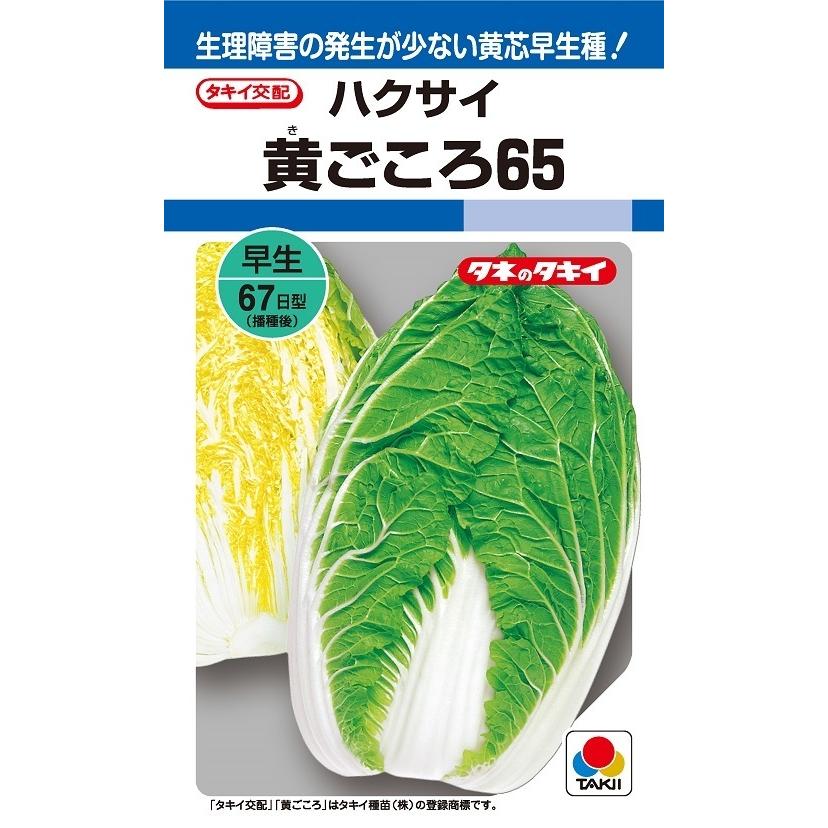 ハクサイ 黄ごころ65 ペレット5000粒 【タキイ種苗】【黄芯白菜の種