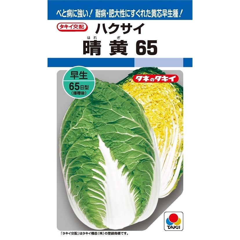 ハクサイ　晴黄65　ペレット5000粒　【タキイ種苗】【黄芯白菜の種】【野菜種子】