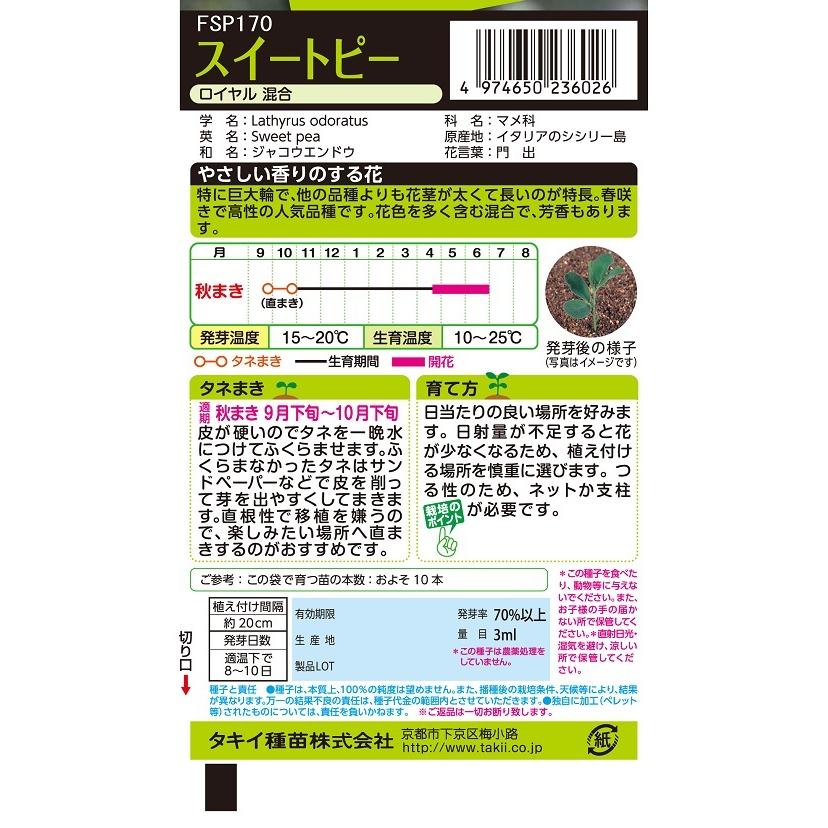 花種 NL200 スイートピー ロイヤル 混合 小袋 [FSP170]【花の種