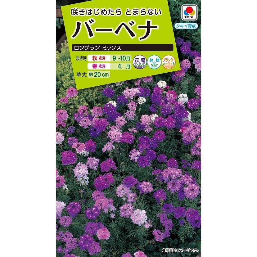 花種 NL200 バーベナ ロングラン ミックス 小袋 [FBB210]【花の種