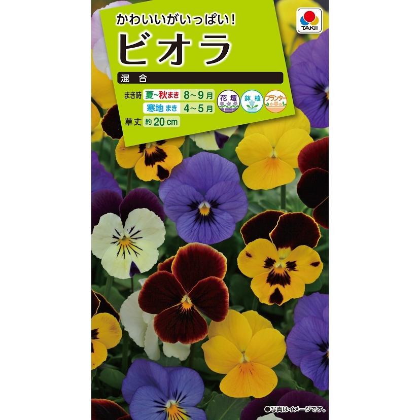 花種 NL200 ビオラ 混合 小袋 [FBR050]【花の種】【タキイのタネ