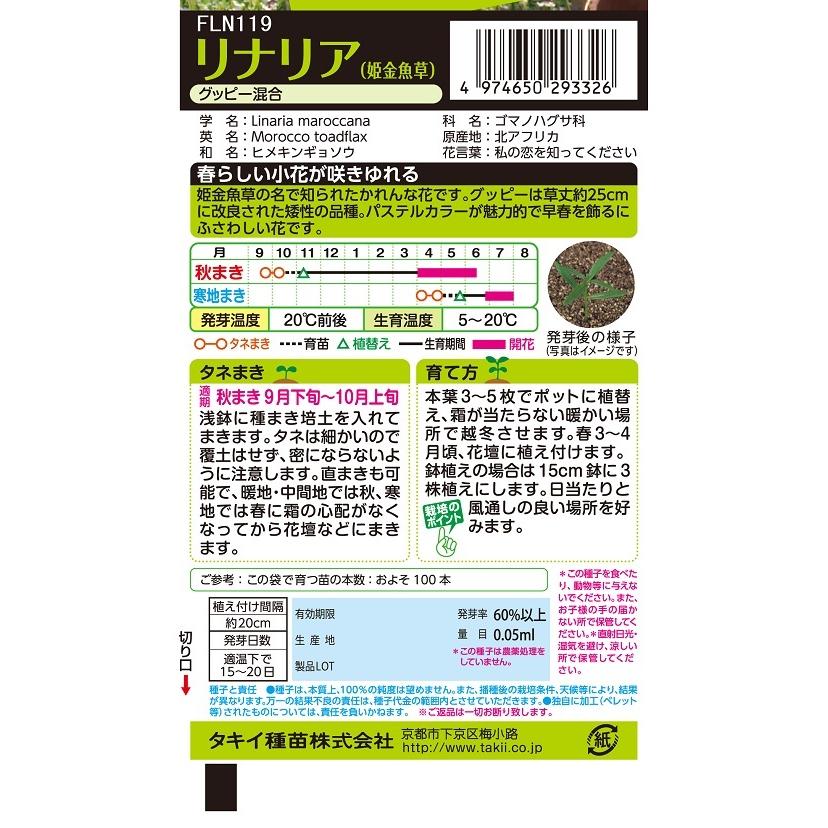 花種 NL200 リナリア グッピー混合 小袋 [FLN119]【花の種】【タキイの