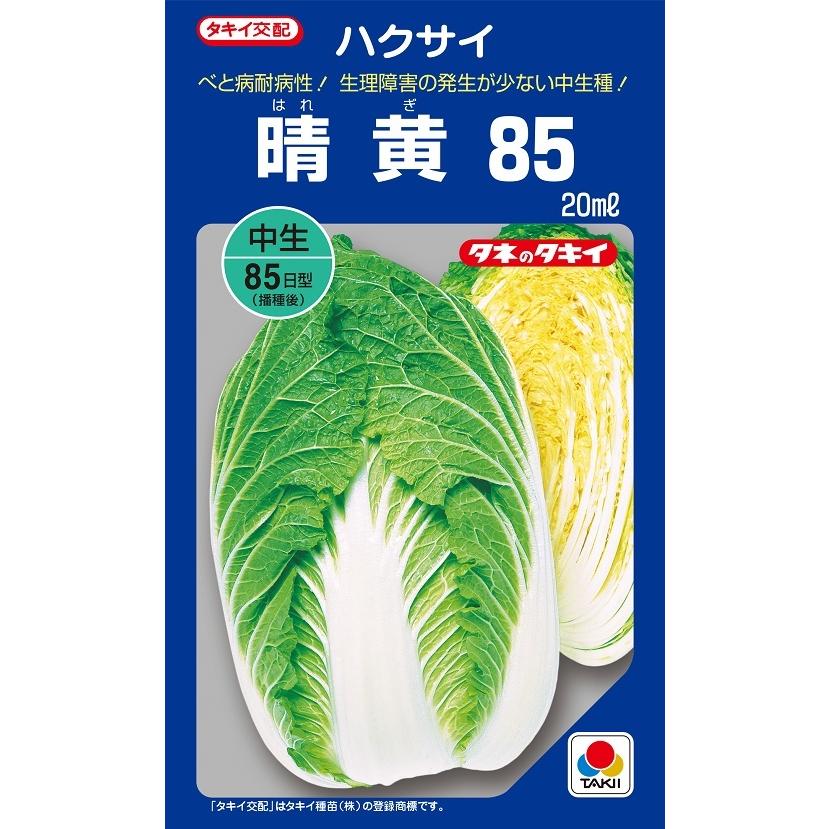 玉の白菜 ハクサイ 晴黄85 20ml 【タキイ種苗】【黄芯白菜の種】【野菜種子