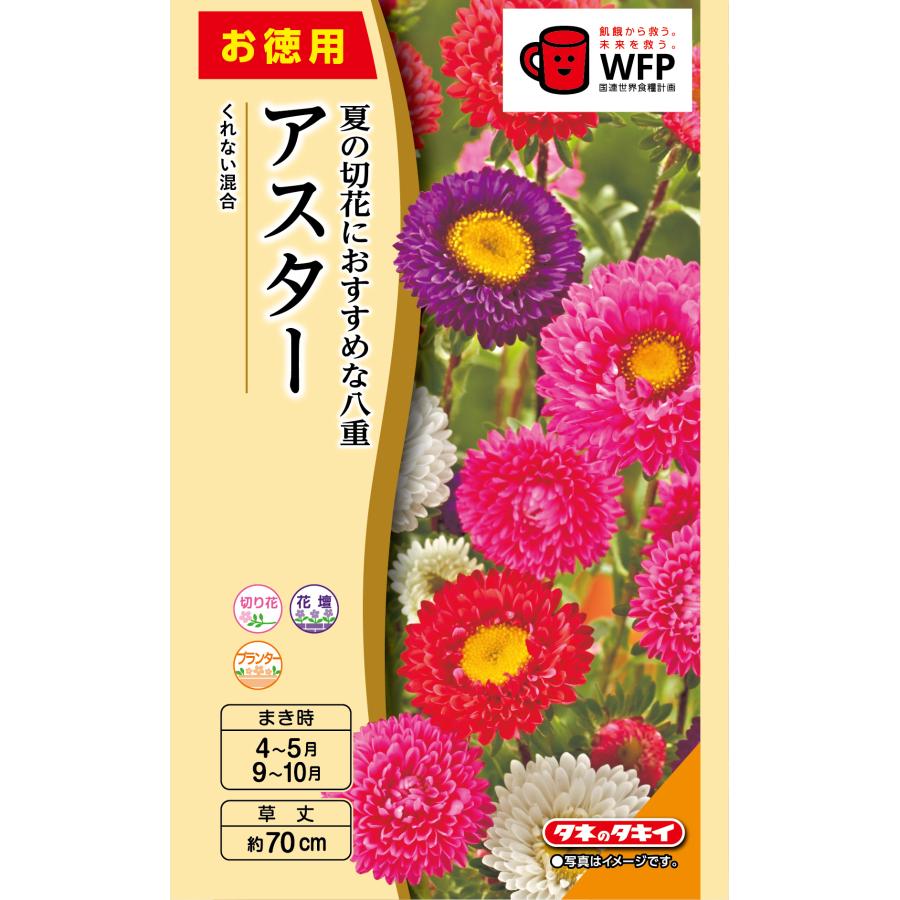 花種 NLお徳用 アスター くれない混合 小袋 [FAS549]【花の種