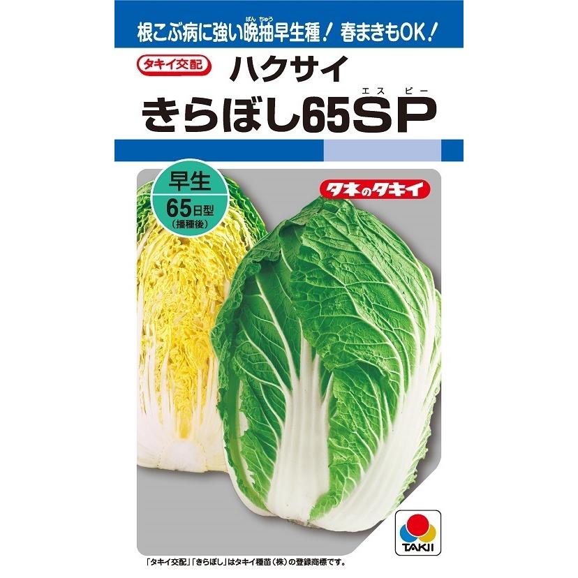ハクサイ　きらぼし65SP　ペレット5000粒　【タキイ種苗】【黄芯白菜の種】【野菜種子】
