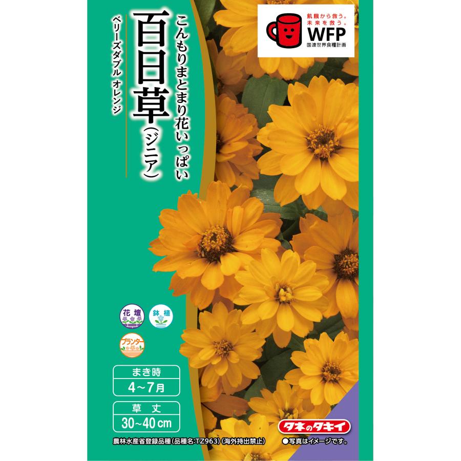 花種 NL400 百日草（ジニア） ベリーズダブルオレンジ 小袋 [FZN744