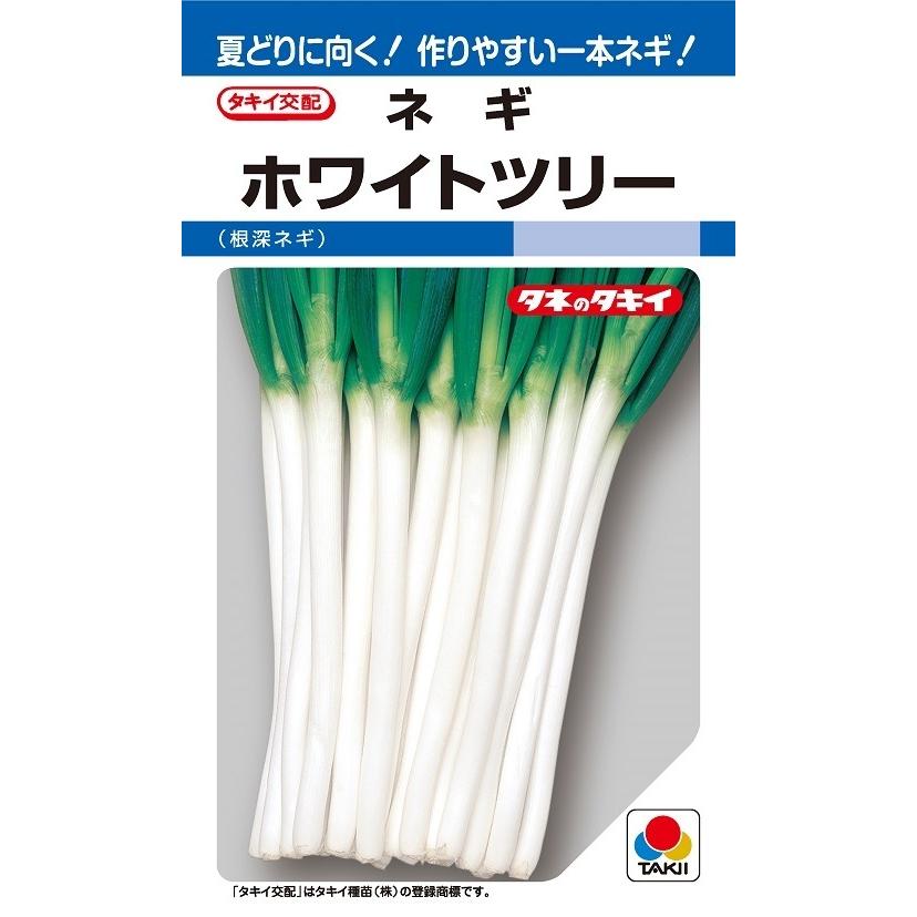 ネギ ホワイトツリー ペレット5000粒【タキイ種苗】【野菜種子