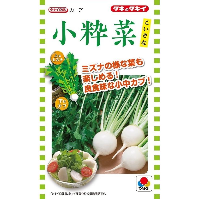 カブ種子 小粋菜 1DLP 【タキイ種苗】【野菜種子】