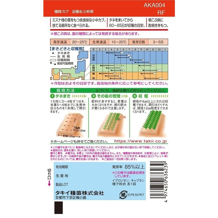 カブ種子 小粋菜 1DLP 【タキイ種苗】【野菜種子】の画像