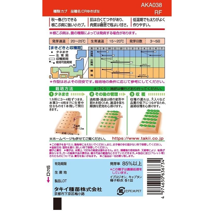カブ種子 CRゆきばな 1DLP 【タキイ種苗】【野菜種子】の画像