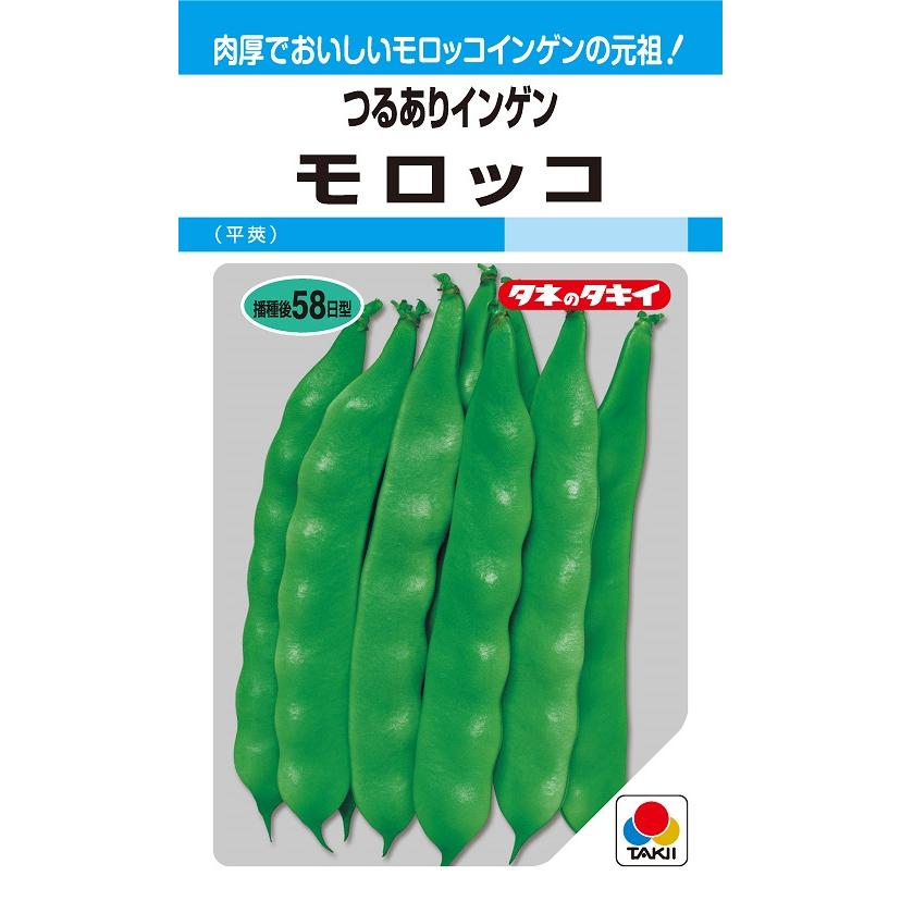 つるありインゲン種子 モロッコ 27ml【タキイのタネ】 : 吉谷農芸Yahoo