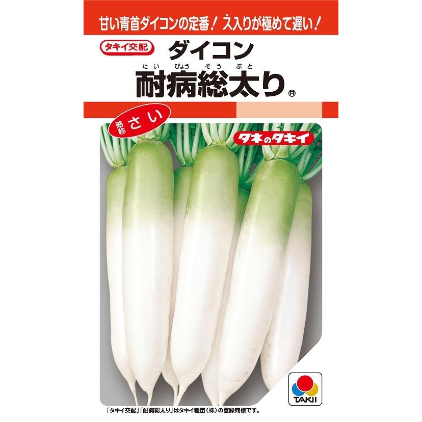 大根種子 耐病総太り 8ml 小袋 【タキイ種苗】【大根の種】【野菜