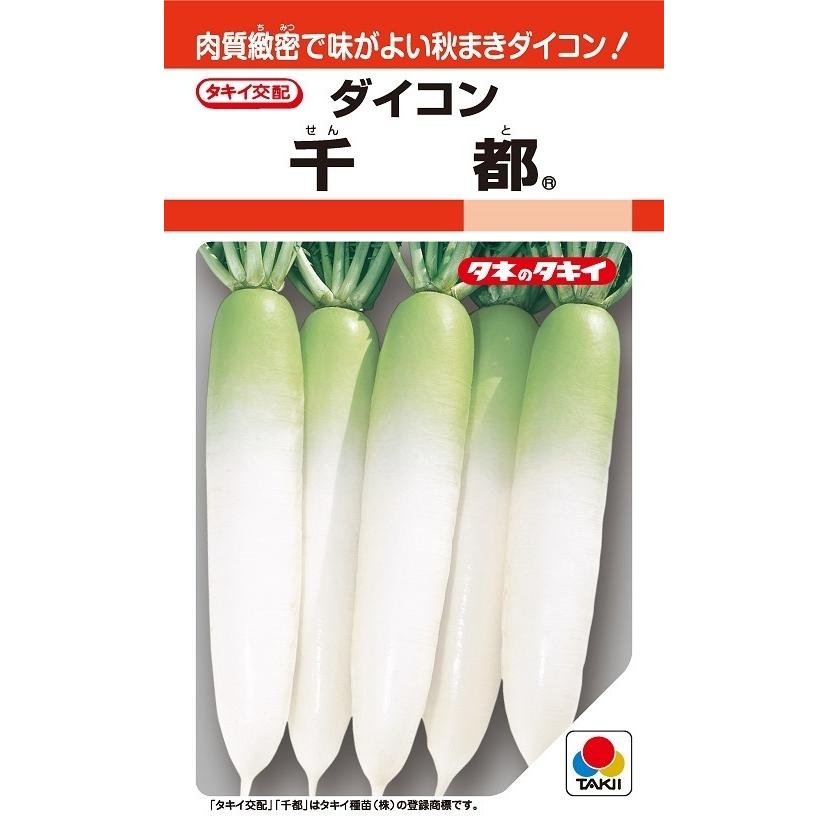 大根種子 千都 2DLP 【タキイ種苗】【野菜種子】