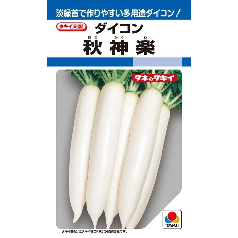 大根種子 秋神楽 2DLP 【タキイ種苗】【野菜種子】