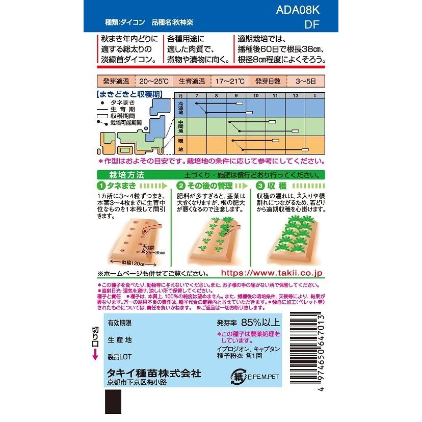 大根種子 秋神楽 2DLP 【タキイ種苗】【野菜種子】の画像