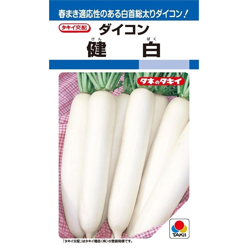 大根種子 健白 2DLP 【タキイ種苗】【野菜種子】