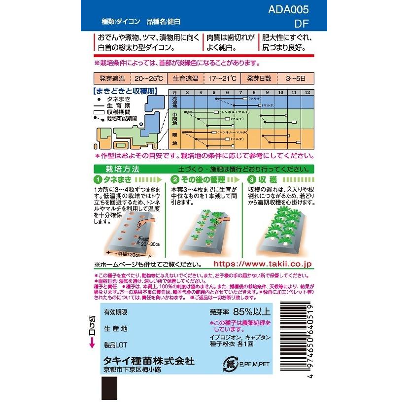 大根種子 健白 2DLP 【タキイ種苗】【野菜種子】の画像