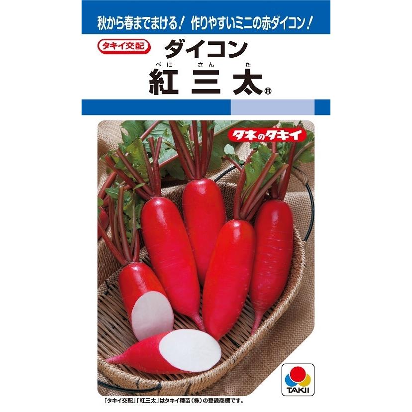 大根種子 紅三太 2DLP 【タキイ種苗】【野菜種子】