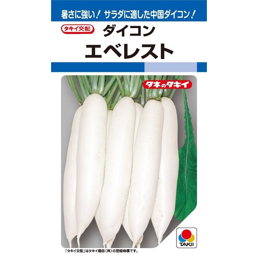 大根種子　エベレスト　19ml　【タキイ種苗】【野菜種子】｜yoshitaninougei