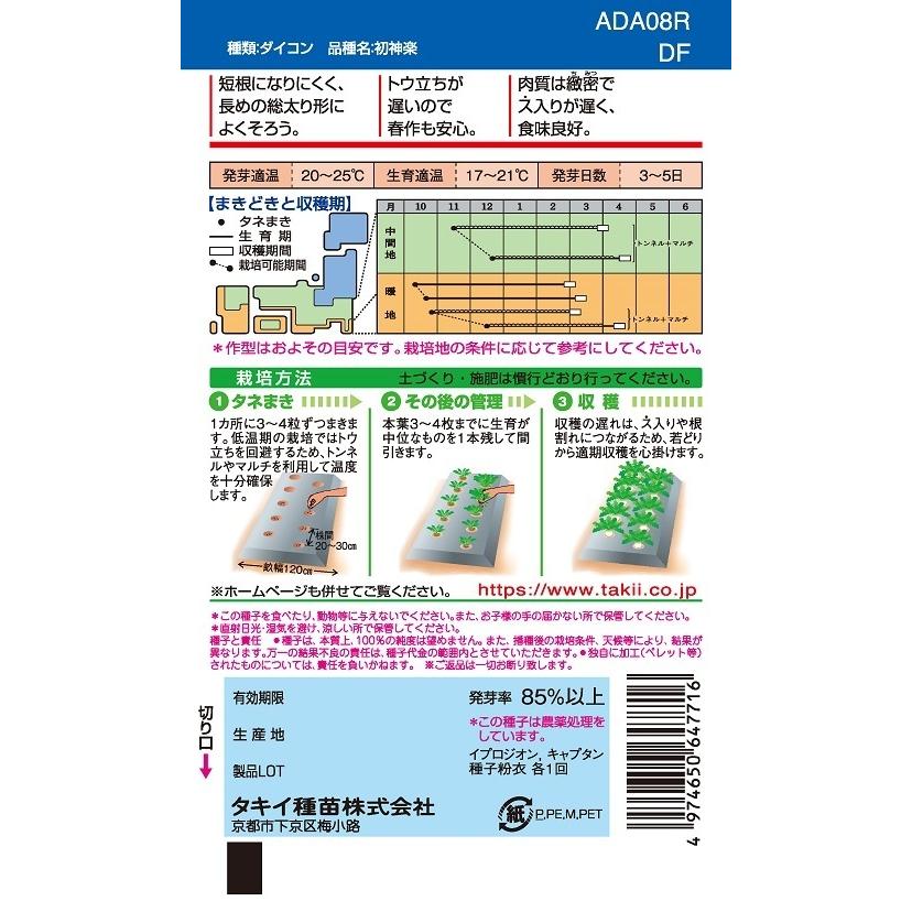 春大根種子 初神楽 2DLP 【タキイ種苗】【野菜種子】の画像