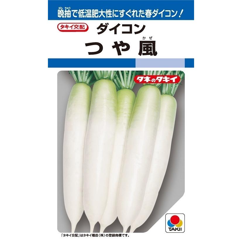 春大根種子 つや風 2DLP 【タキイ種苗】【野菜種子】