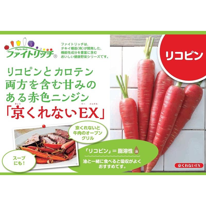 京くれないEX コート200粒 人参種子 【タキイ交配】 : 吉谷農芸Yahoo