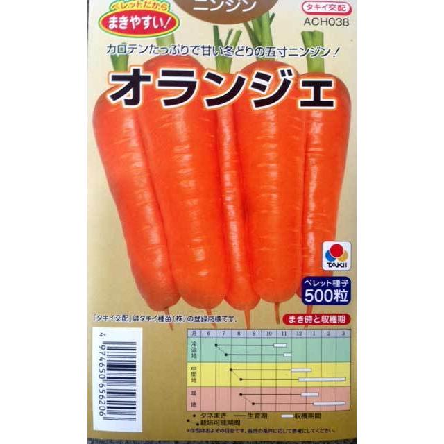 オランジェ ペレット500粒 人参種子 PVP 農水省登録品種(品種名 シロムタルカス) 根菜、豆類、もやし