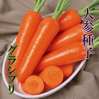グランプリ ペレット1万粒 人参種子 【タキイ交配】 : 吉谷農芸