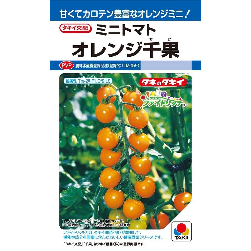 ミニトマト　千果　9kg オレンジ千果 ミニトマト 16粒 農水省登録品種(品種名 TTM059)【トマト