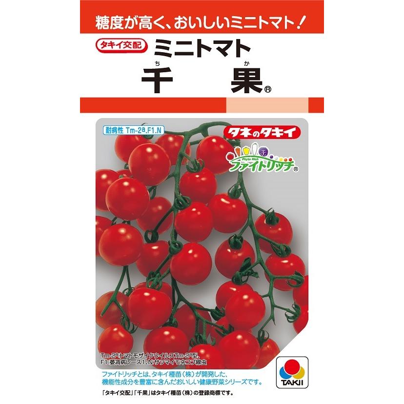 千果　ミニトマト　10粒　【トマト種】【タキイのタネ】【野菜の種】【機能性野菜】【高リコピン】【ファイトリッチシリーズ】｜yoshitaninougei