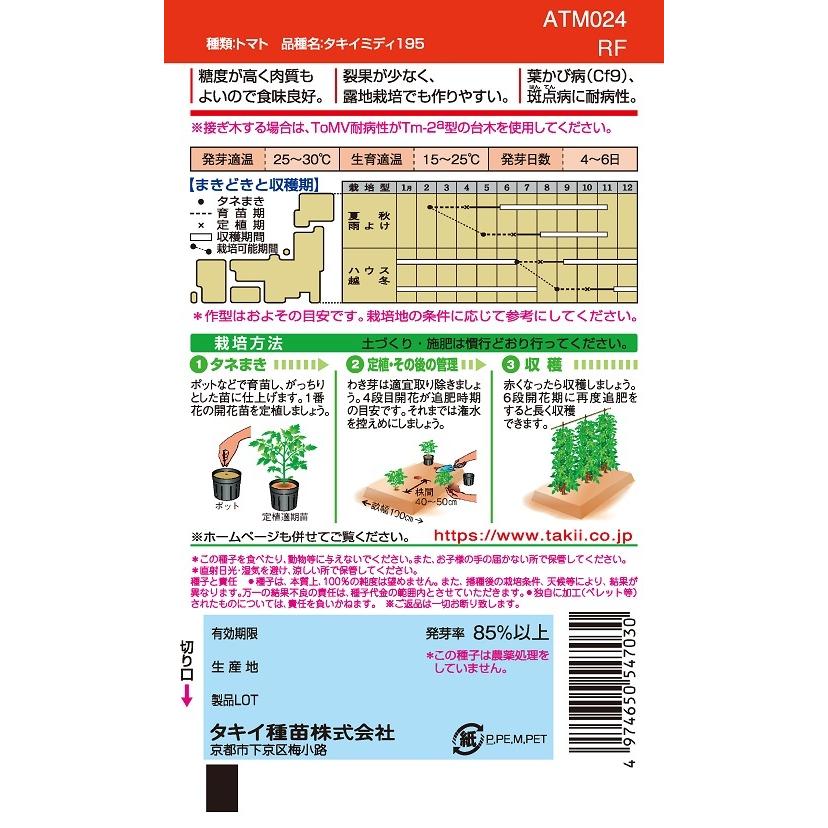 フルティカ 中玉トマト 10粒 農水省登録品種(品種名 タキイミディ195