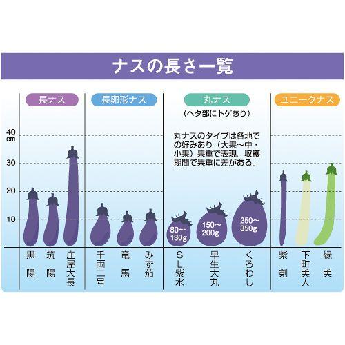 PC筑陽 13粒 なす種子 【ナス種】【タキイのタネ】【野菜の種】 : 吉谷
