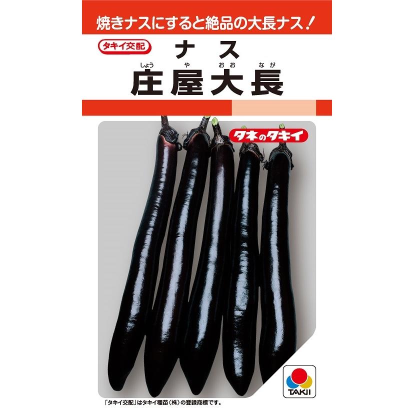 庄屋大長 27粒 小袋 大長なす種子 【ナス種】【タキイのタネ】【野菜の