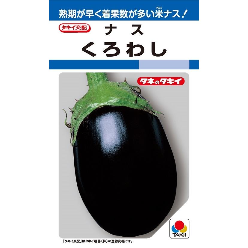 くろわし 60粒 米なす種子 ナス種 タキイのタネ 野菜の種 514 吉谷農芸yahoo 店 通販 Yahoo ショッピング