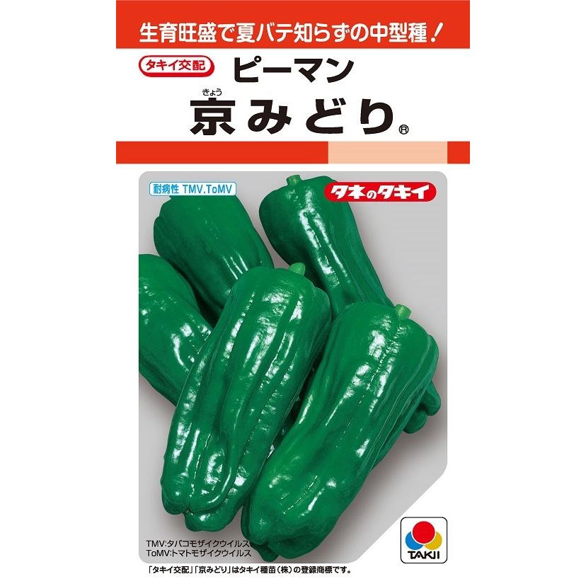 京みどりピーマン 30粒 【ピーマン種】【タキイのタネ】【野菜の種