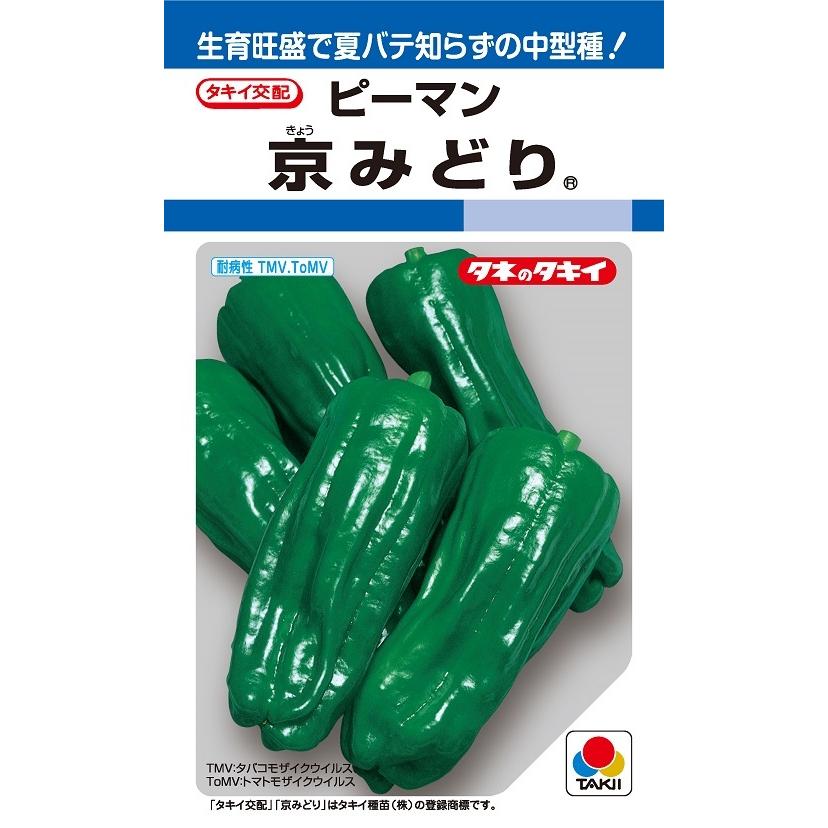 ピーマン(๑>◡<๑) 京みどりピーマン 65粒 【ピーマン種】【タキイのタネ】【野菜の種